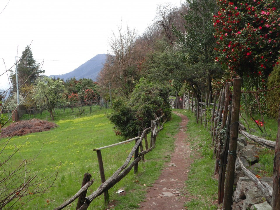 Weg nach Carmine (16)