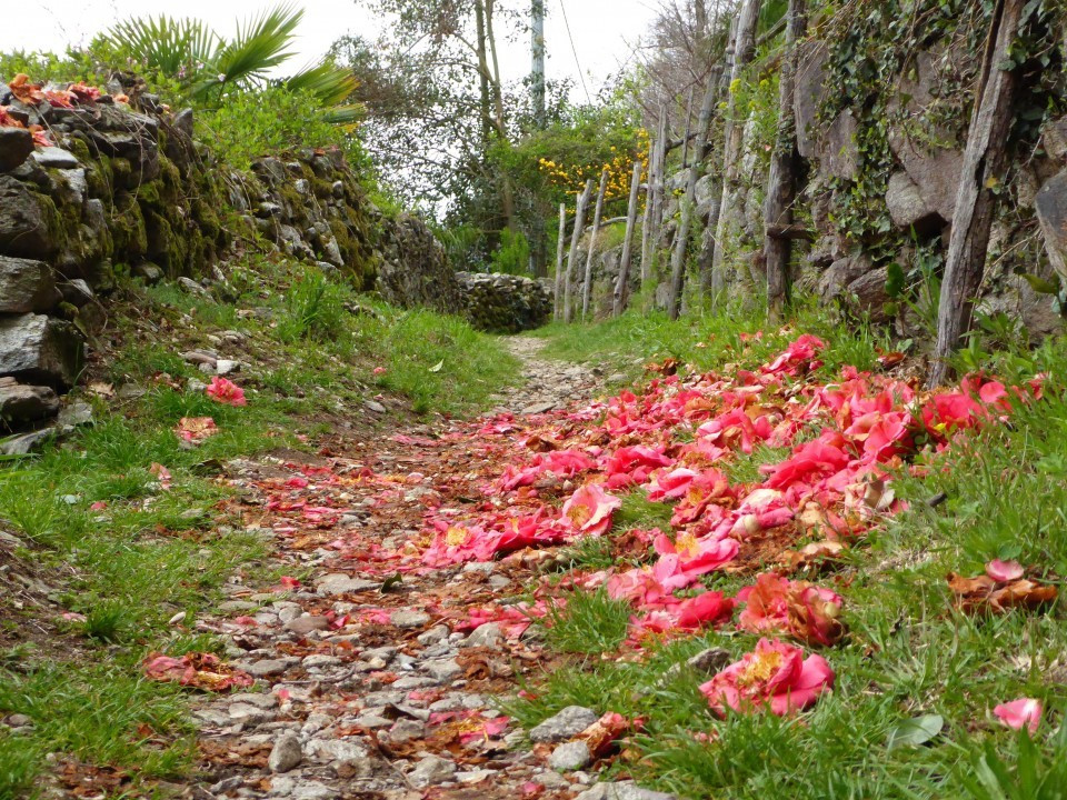 Weg nach Carmine (17)