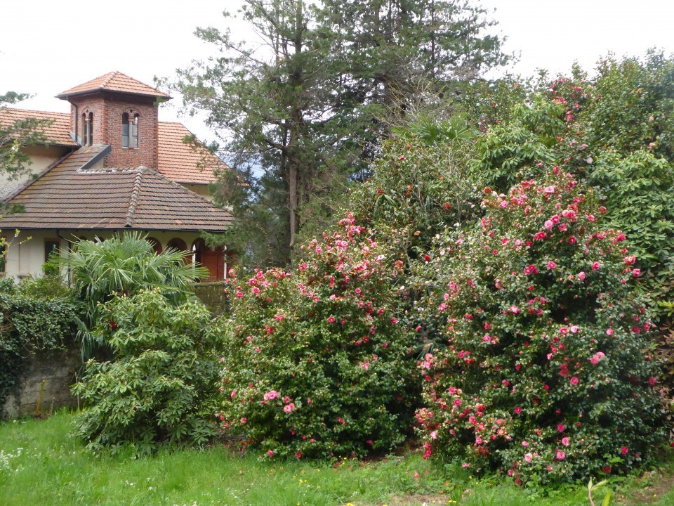 Weg nach Carmine (18)