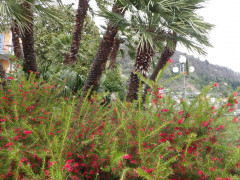 Weg nach Carmine (2)