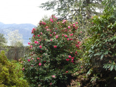 Weg nach Carmine (9)