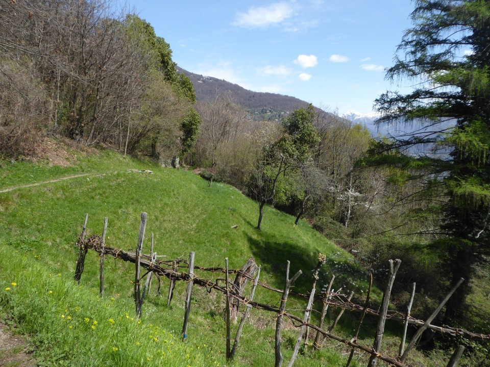 Weg Donnego Cassino (49)