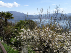 Weg Donnego Cassino (65a)