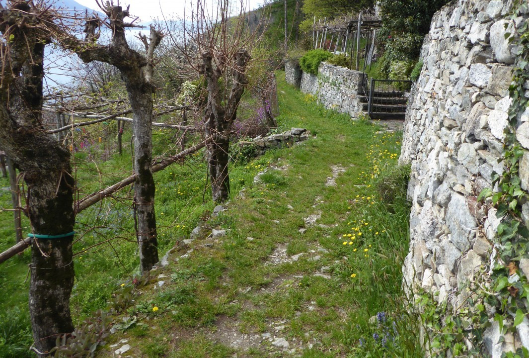 Weg Donnego Cassino (41a)