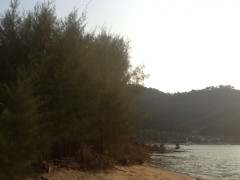 wilder Strand