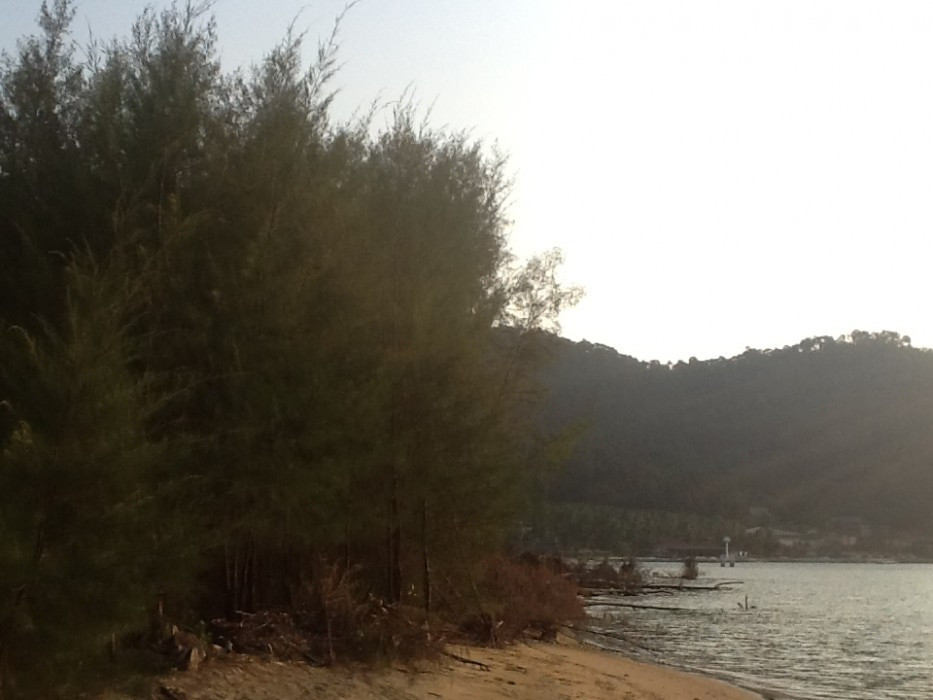wilder Strand
