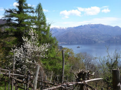 Weg Donnego Cassino (51a)