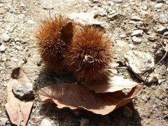 Weg Donnego Cassino (89)