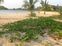 wilder Strand
