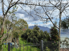Weg Donnego Cassino(79a)