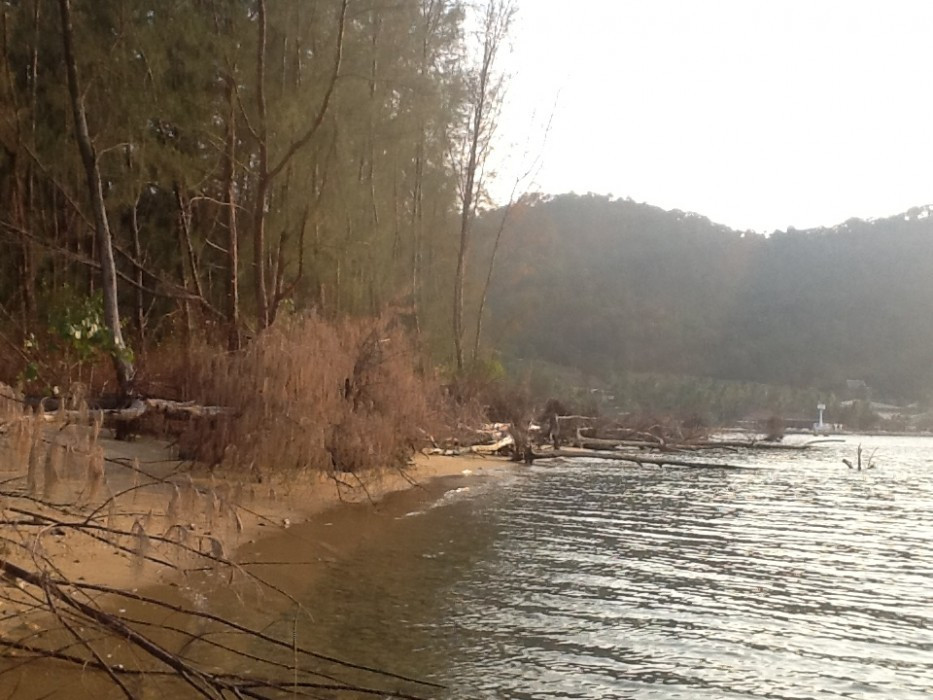 wilder Strand