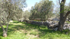 Mindel