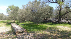 Mindel