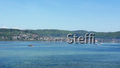 Frühlingsgrüße von Zuhause bzw. Bodensee