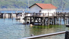 Frühlingsgrüße von Zuhause bzw. Bodensee