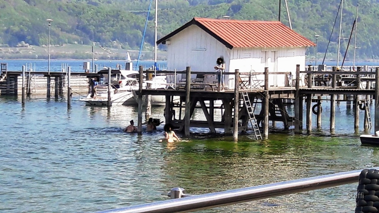 Frühlingsgrüße von Zuhause bzw. Bodensee