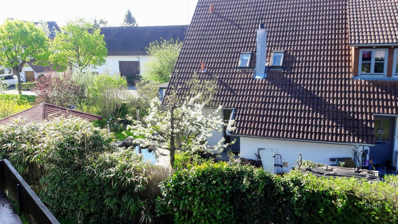 Frühlingsgrüße von Zuhause bzw. Bodensee