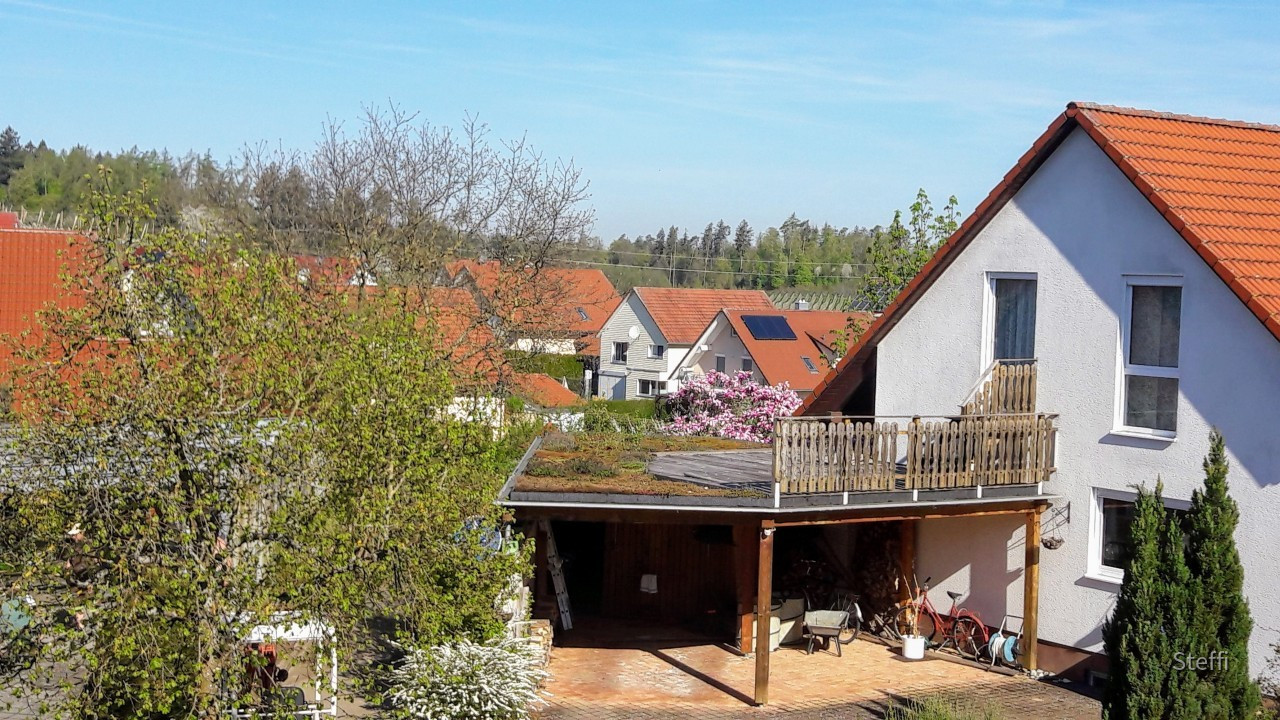 Frühlingsgrüße von Zuhause bzw. Bodensee