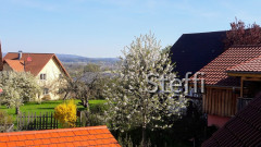 Frühlingsgrüße von Zuhause bzw. Bodensee