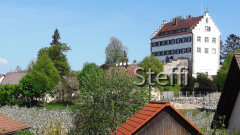 Frühlingsgrüße von Zuhause bzw. Bodensee