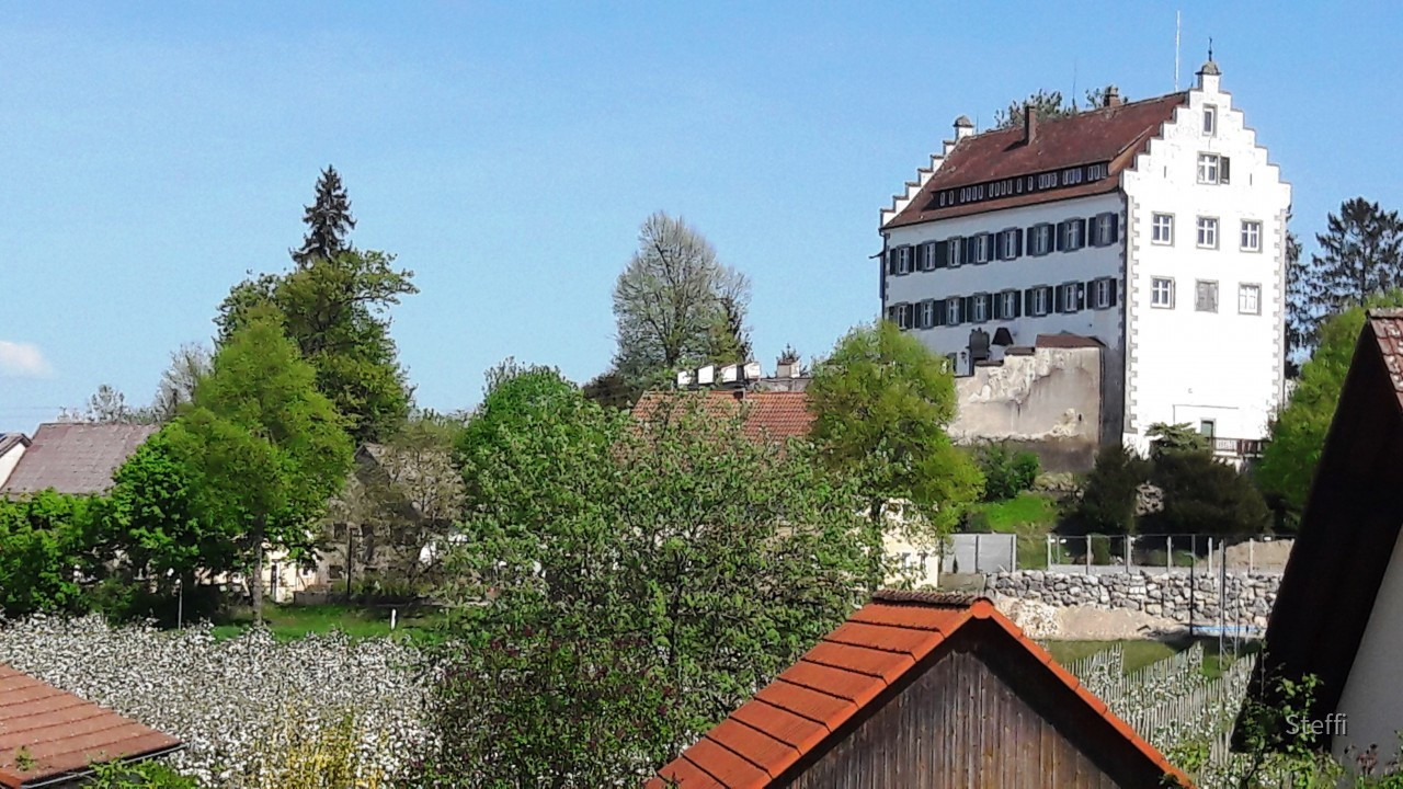 Frühlingsgrüße von Zuhause bzw. Bodensee