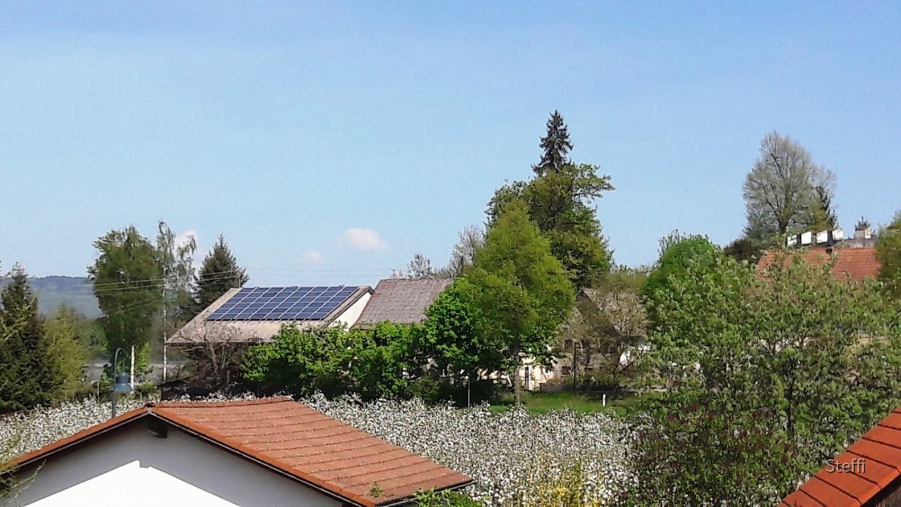 Frühlingsgrüße von Zuhause bzw. Bodensee