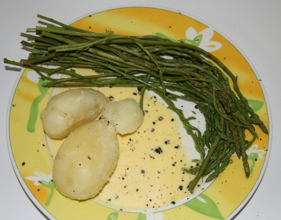 Mindel Spargel 020