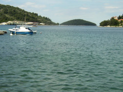 Ošjak