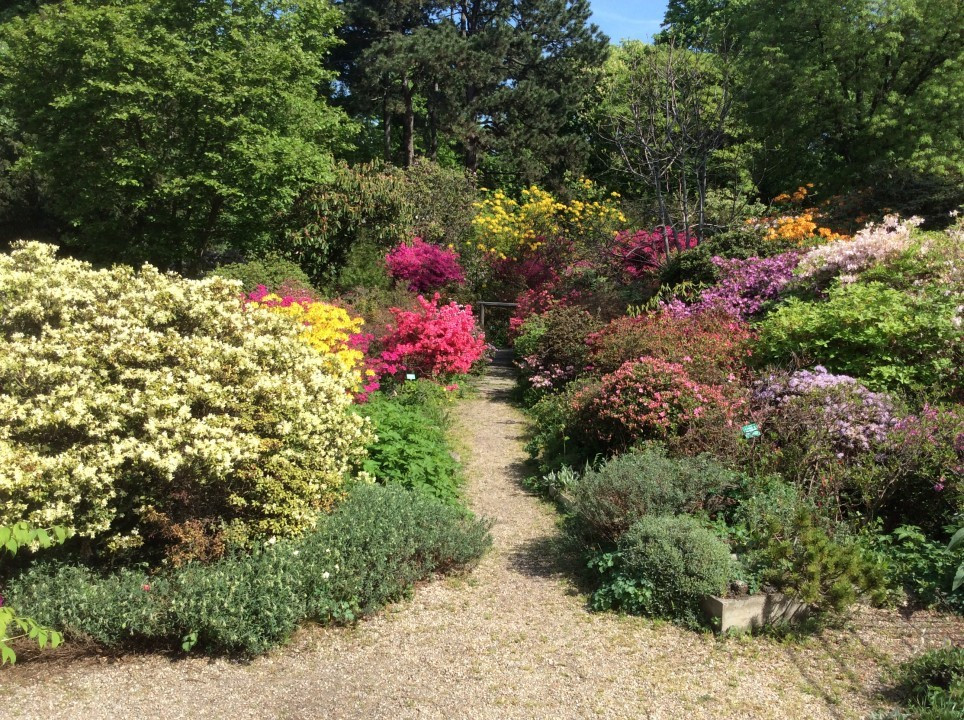 Alpengarten Wien April 2018