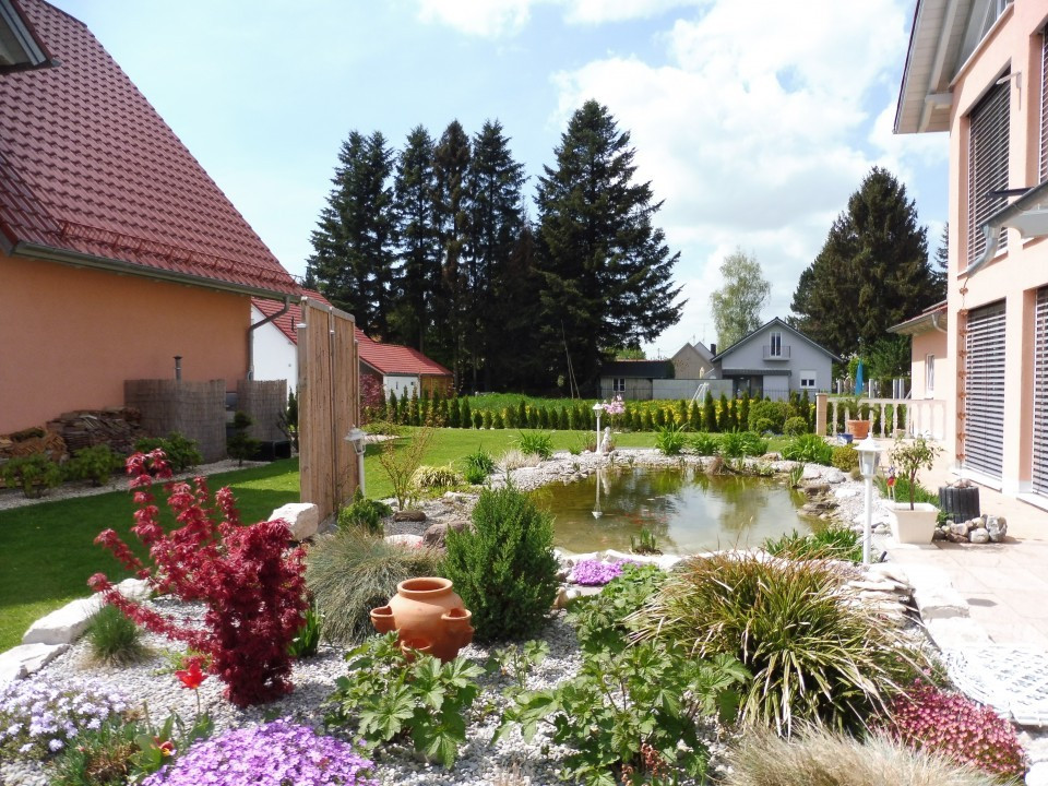 Fichtenblüte
