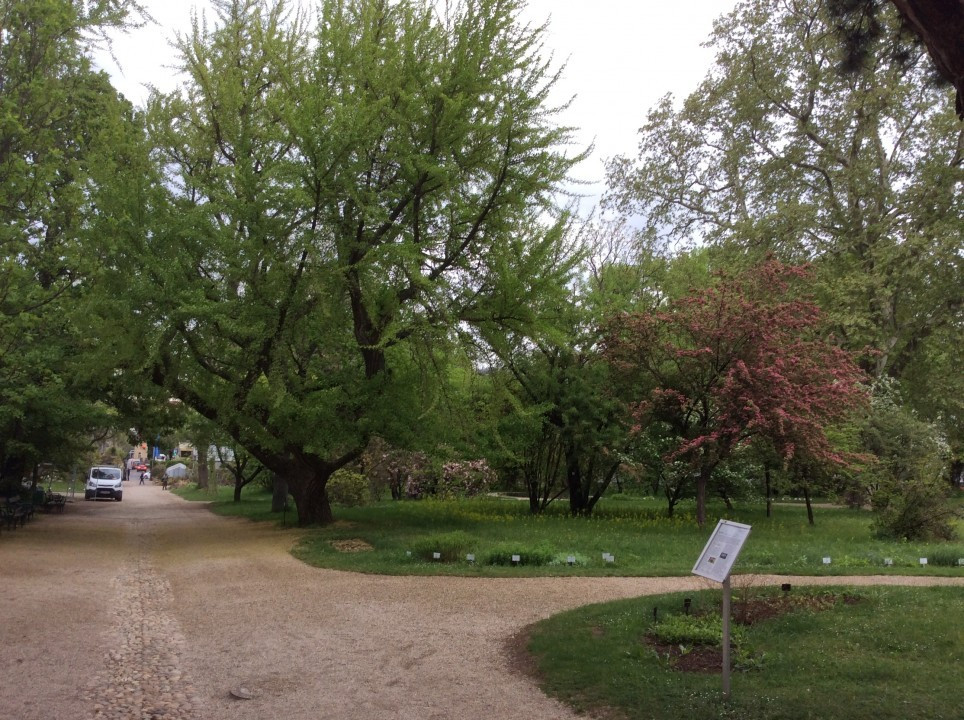 Der Botanische Garten der Universität Wien