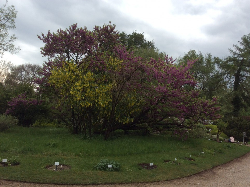 Der Botanische Garten der Universität Wien