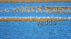 Nationalpark Osterschelde