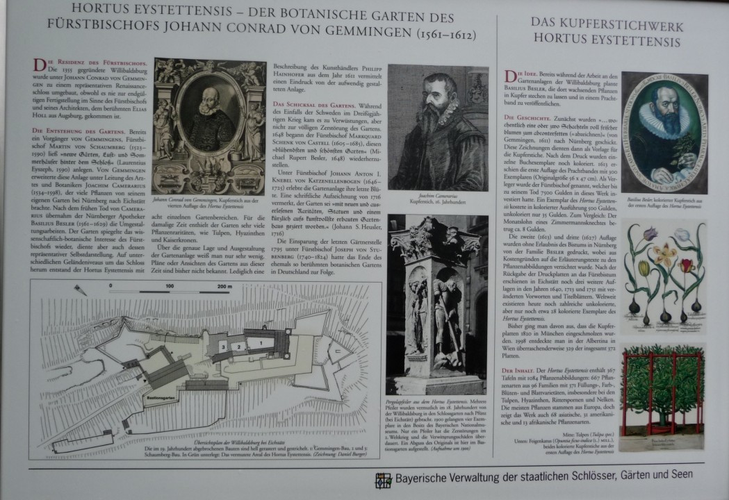 Hortus Eystettensis
