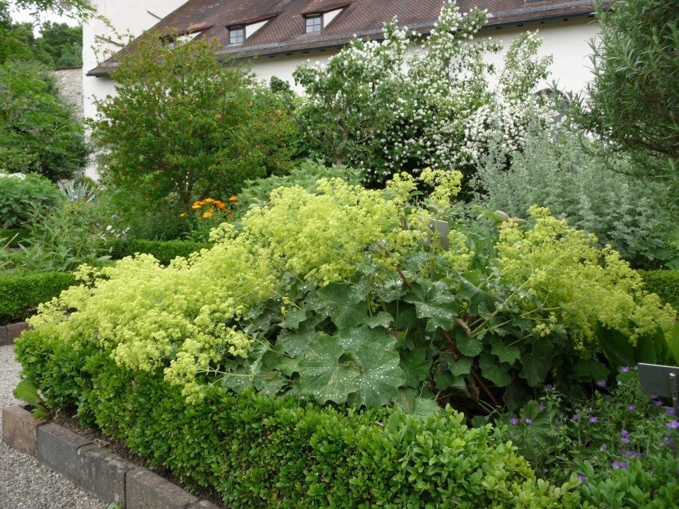 Hortus Eystettensis