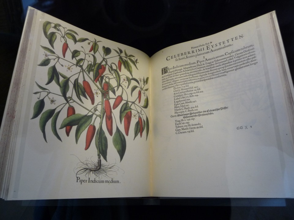 Hortus Eystettensis