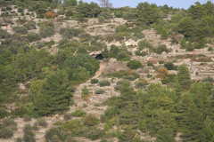 Vela Spila