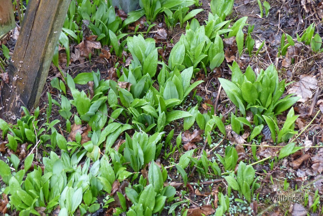 P1020473