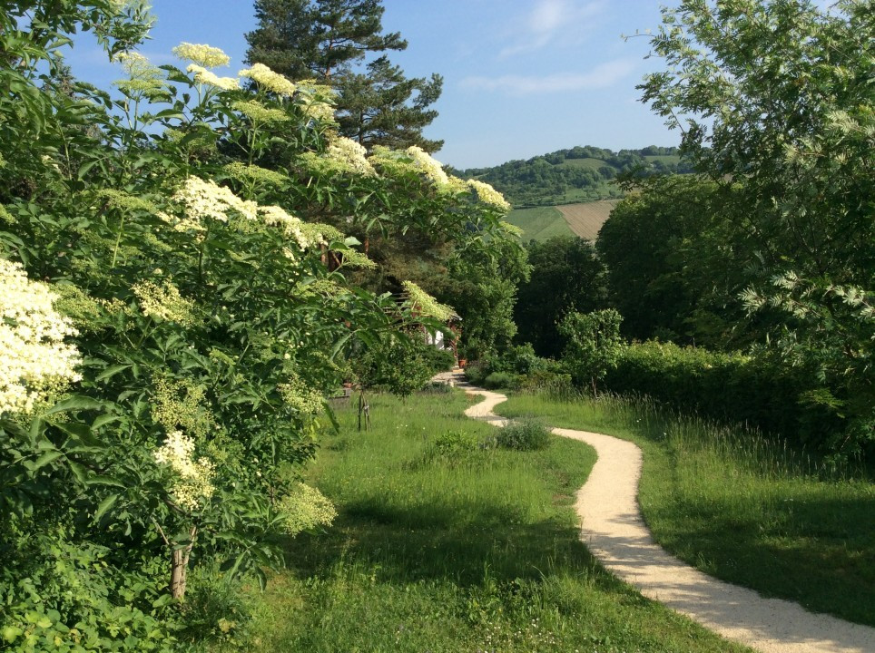 Blick in meinen Garten