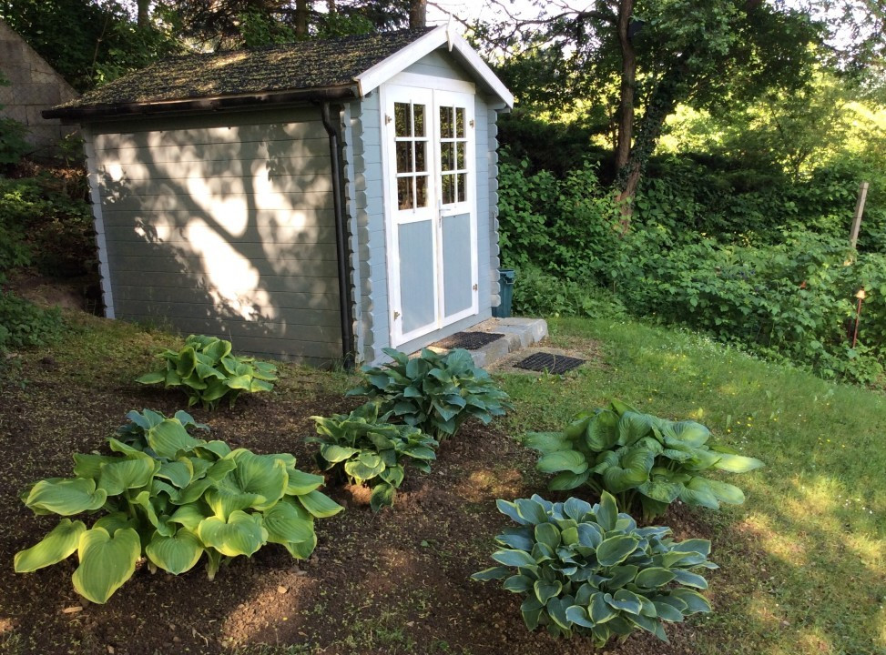 Blick in meinen Garten