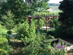 Blick in meinen Garten