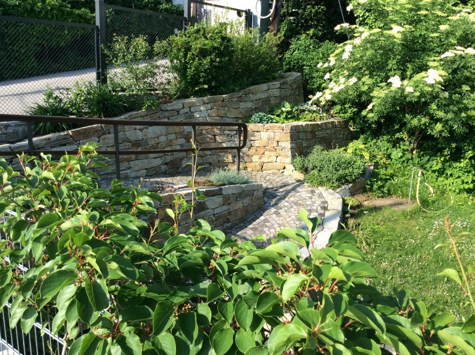 Blick in meinen Garten