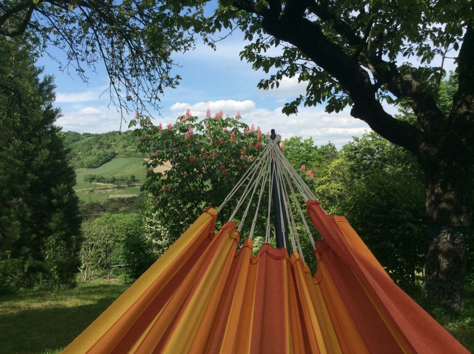 Blick in meinen Garten