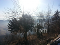 test1