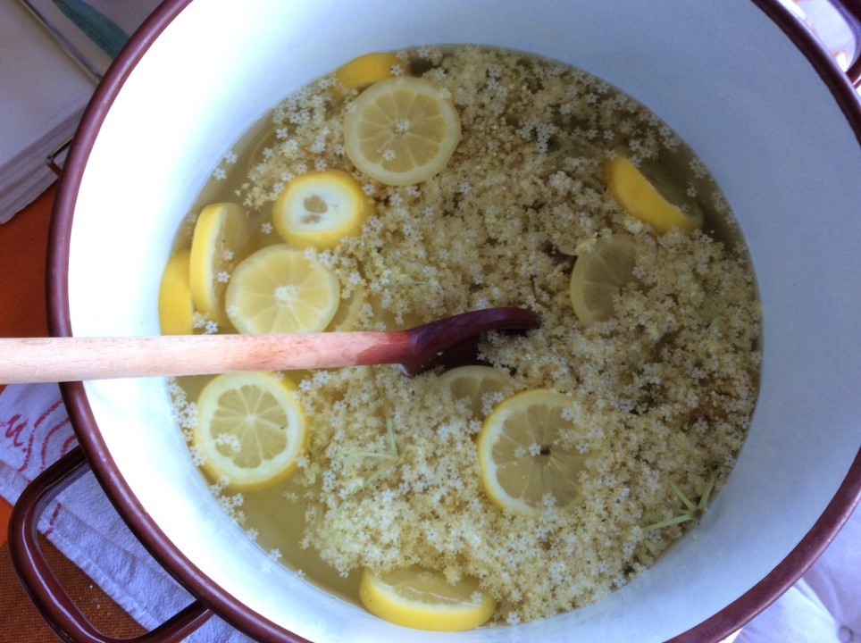 Hollerblütensirup