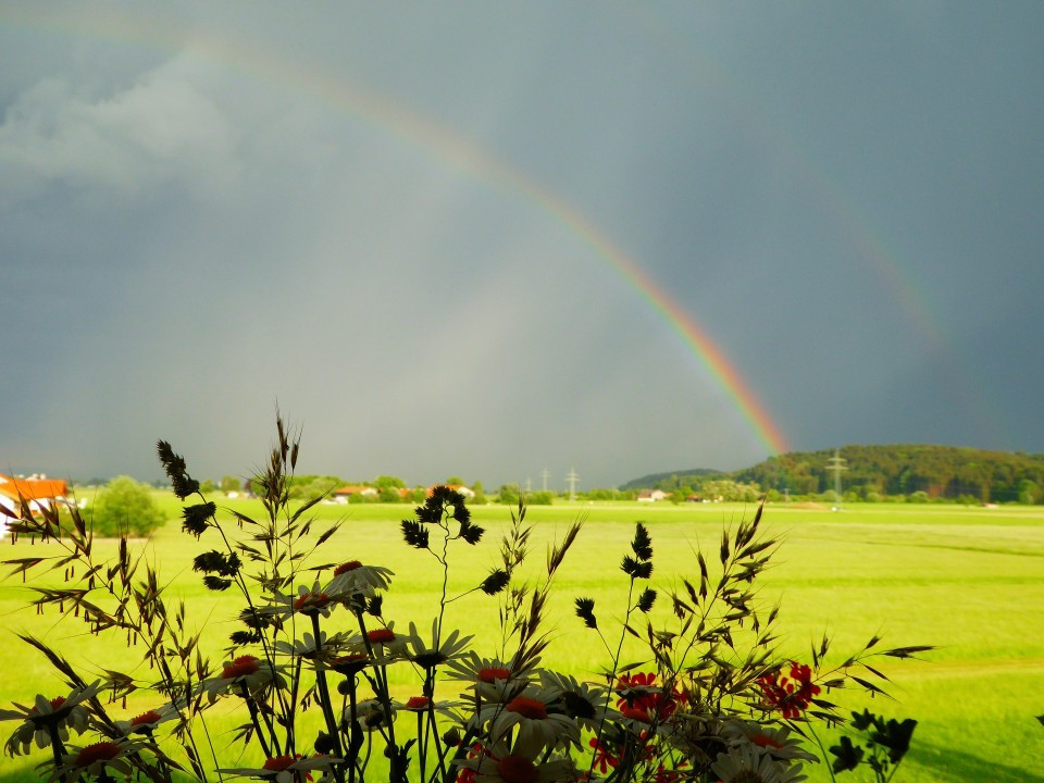 Regenbogen