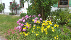 Bauerngarten