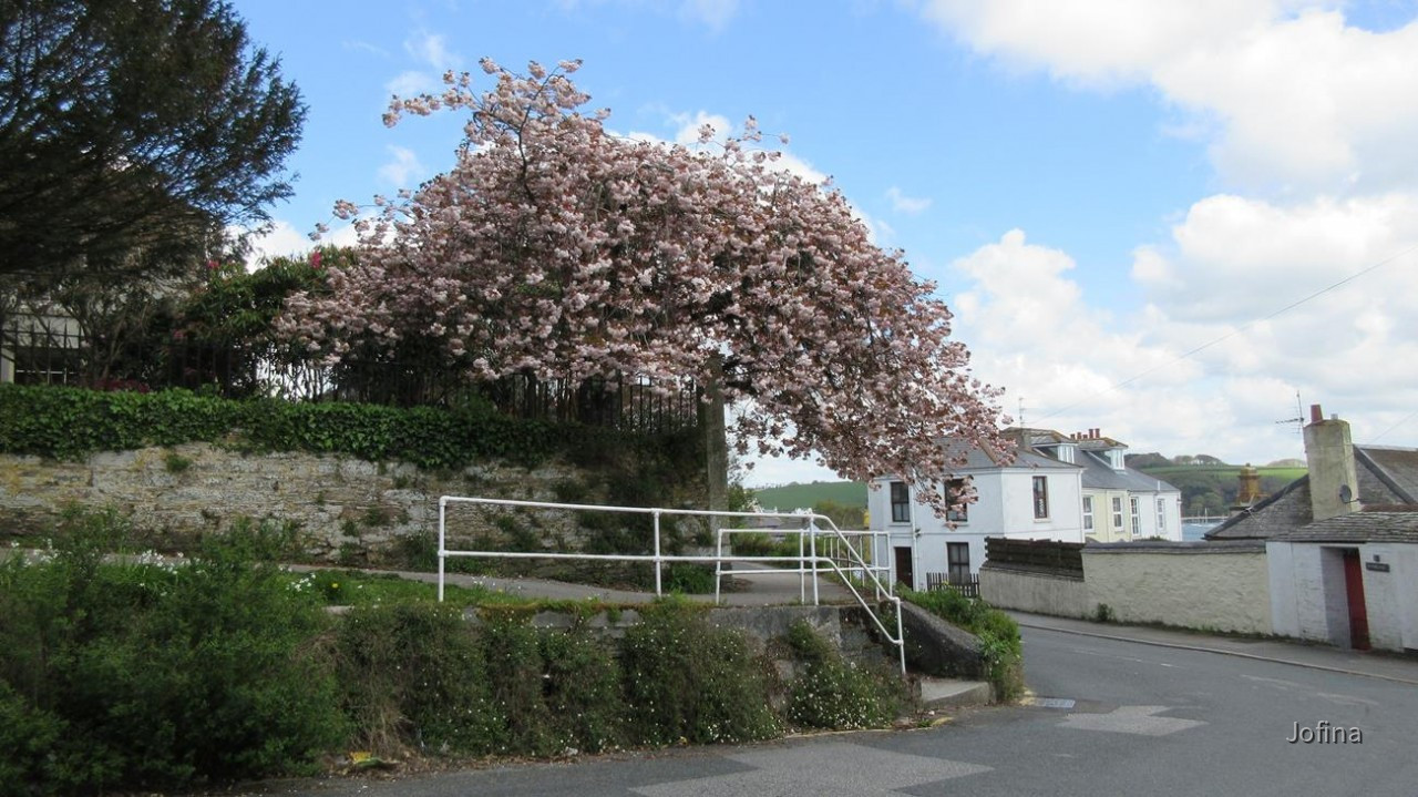 Falmouth_29