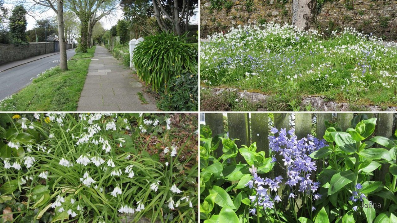 Falmouth_32