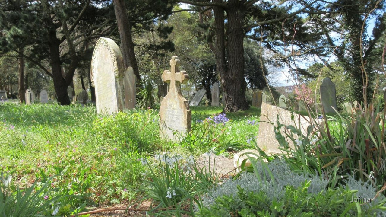 Falmouth_35